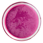 A11 Crème de la Crème Cheek