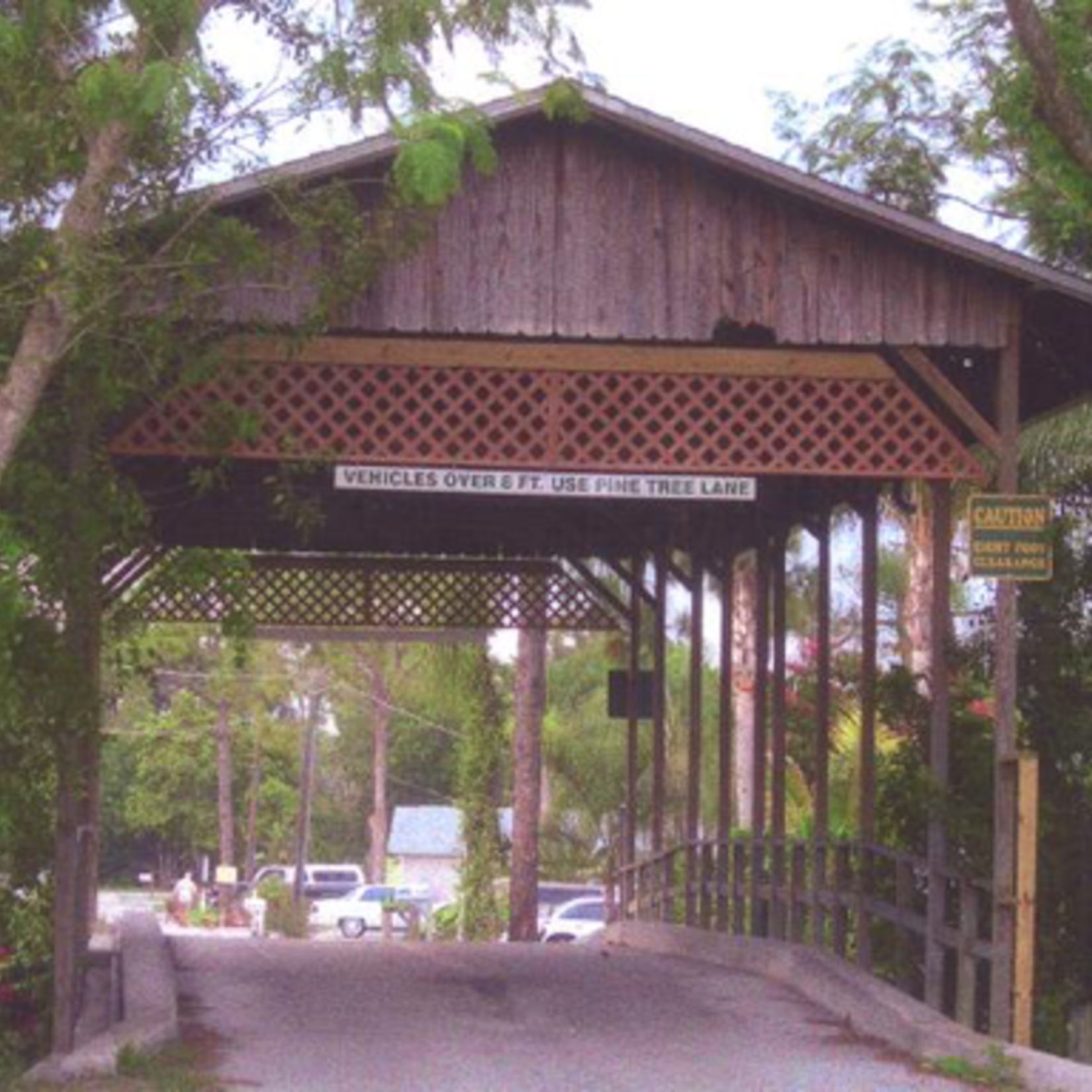Floridian Covered Bridge (Print, Matted, 11x14, RUTH)