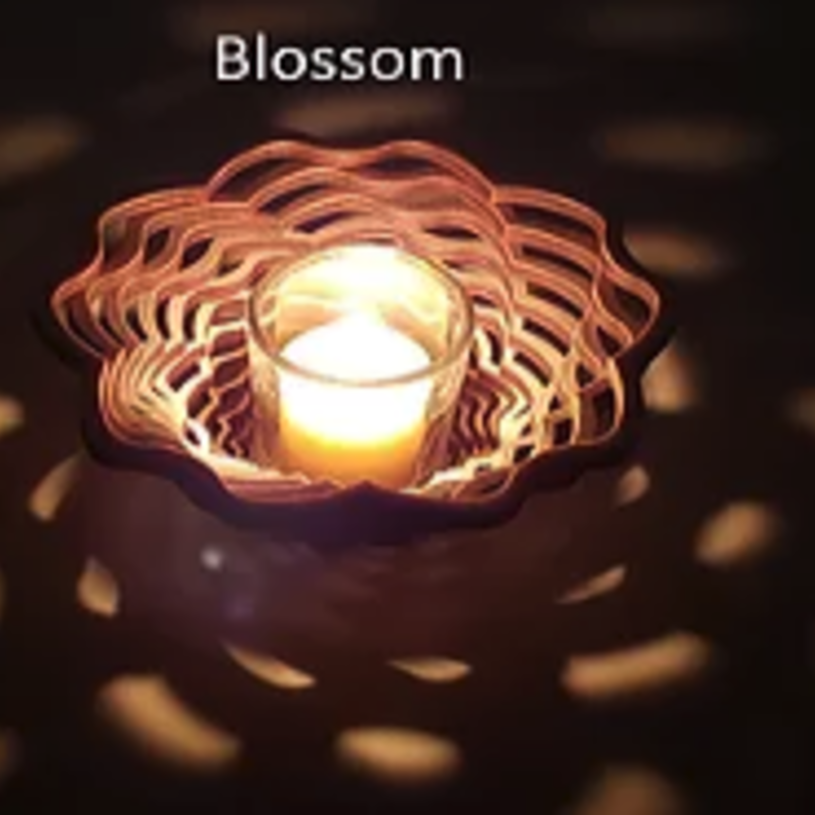 Robert Jones VOTIVE, BLOSSOM, ROBJ