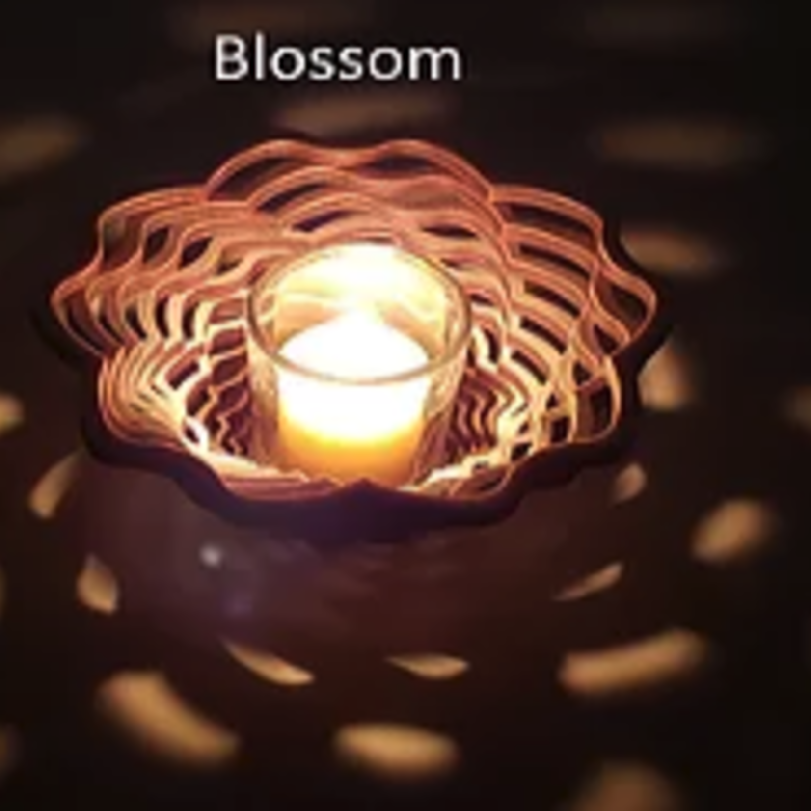 VOTIVE, BLOSSOM, ROBJ