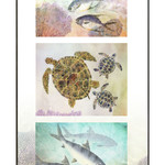 Ken Dara TRIPLEX FISH PRINT (Gyotaku, Vertical, Asstd., 20x10 Frame, KEND)