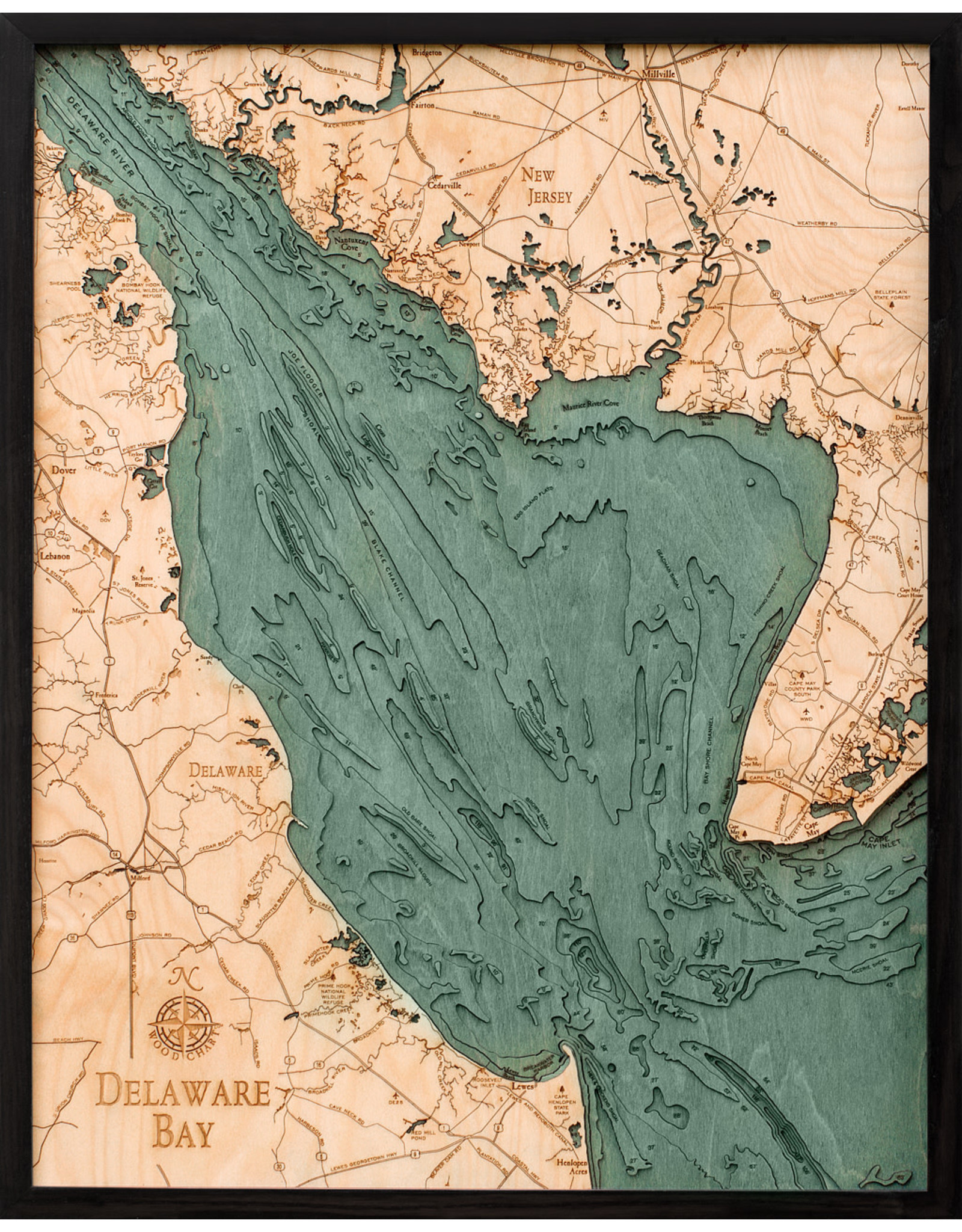 WoodCharts Delaware Bay (Bathymetric 3-D Nautical WOODCHART)