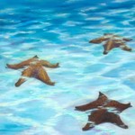 Susan Roberts SEA STARS (Giclee, Ltd. Ed, Gallery Wrap, 8x10, SUSR)