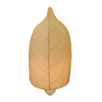 Eangee Home Design NIGHTLIGHT, LARGE LEAF, NATURAL