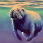 Susan Roberts NO WAKE ZONE (Giclee, Ltd. Ed, Gallery Wrap, 8x10, SUSR)