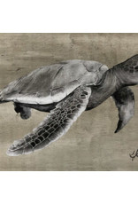 Molly Pearce Loggerhead Turtle,  (17x11 MOLP)