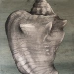 Molly Pearce CONCH SHELL 8x11" MOLP)