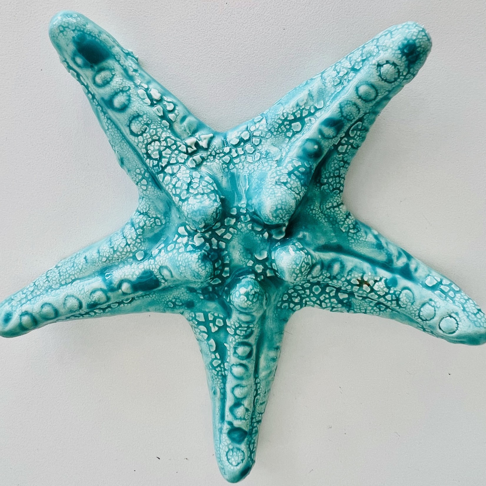 True Art STARFISH (KNOBBY, Md) TRUA