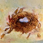 Sharon Ferina Nest w/2 eggs, original ptg on canvas, 6x6", SHAF