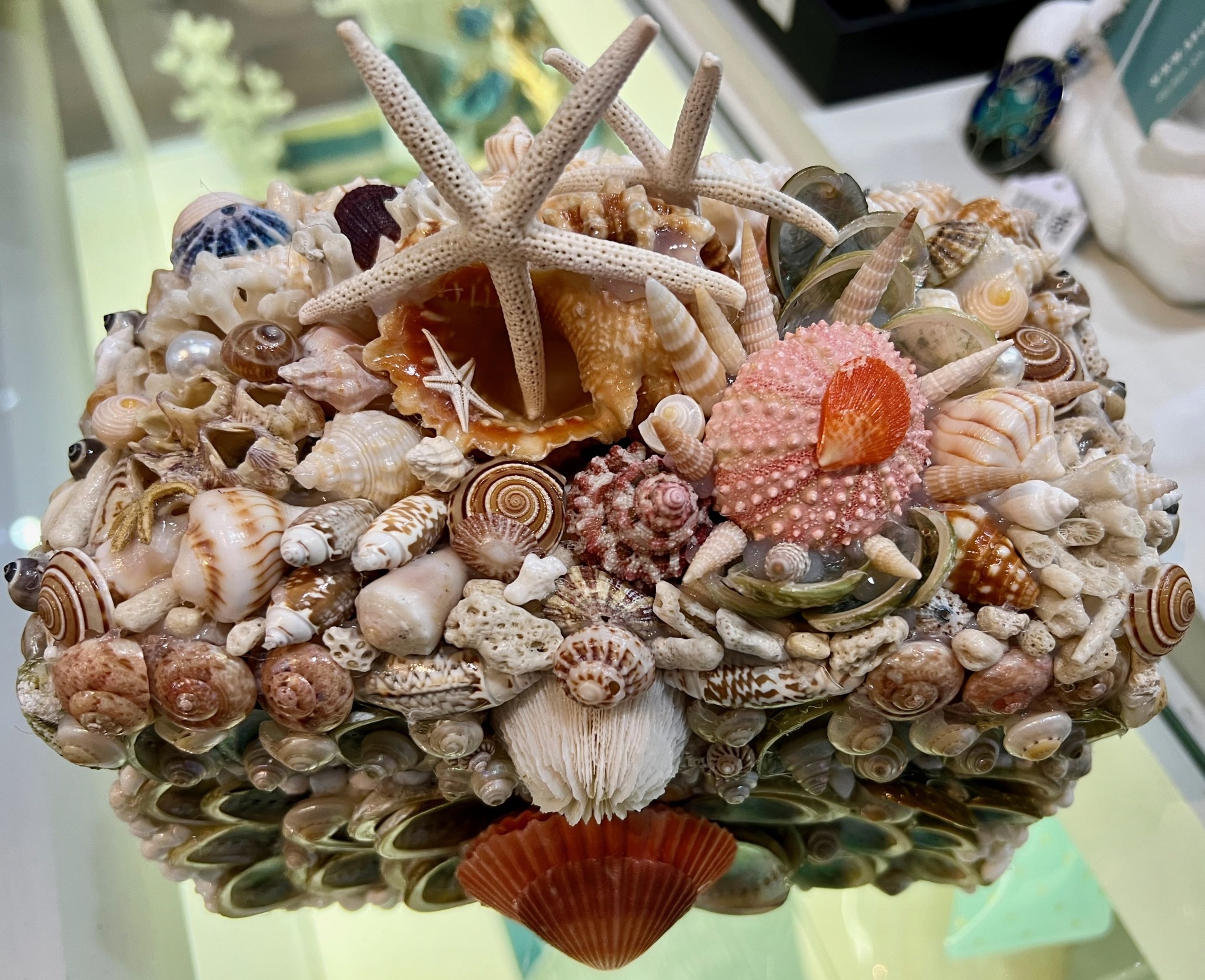 "Amazing Shell Treasures", box, 7x4x4", BEAV - Rare Earth Gallery