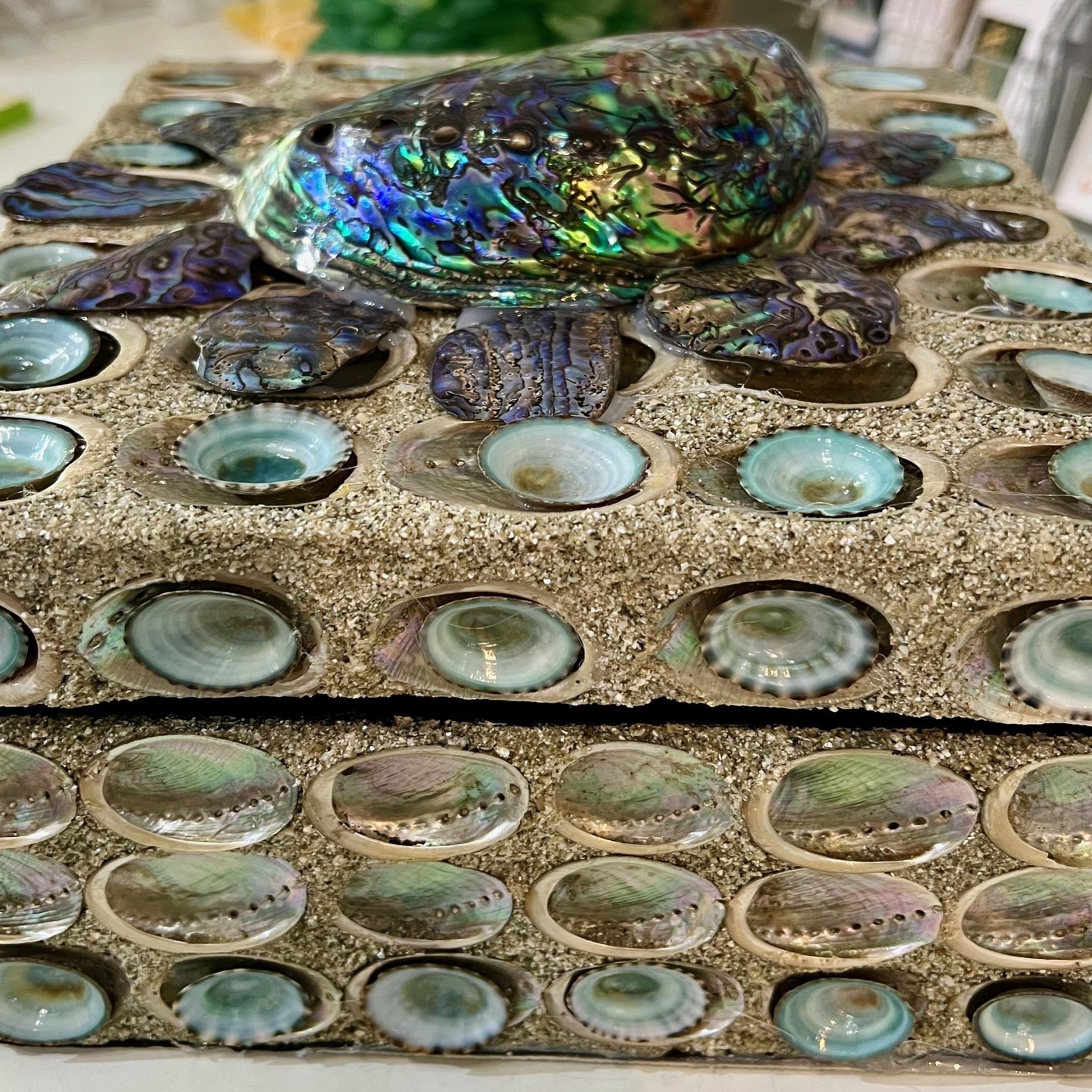 Bea Valiente "Queen Paua Shining", shell box w/lid, 8.5" sq., BEAV