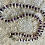 Rare Finds Necklace,White Biwa Fresh Water Pearls w/faceted amethyst rondelle spacers, 26", RARE