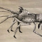Molly Pearce Spiny Lobster (8x11" MOLP)