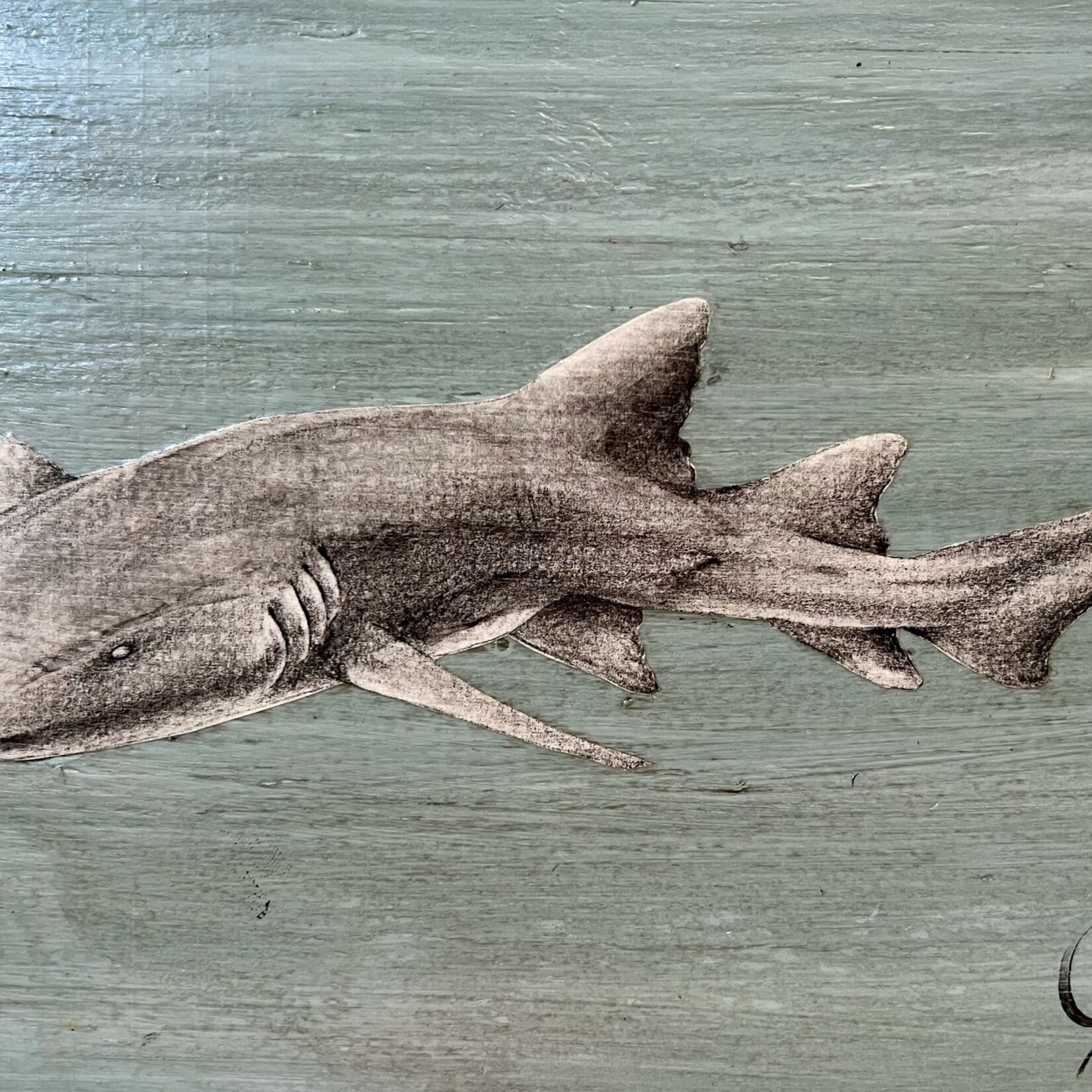 Molly Pearce Nurse Shark (8x11" MOLP)