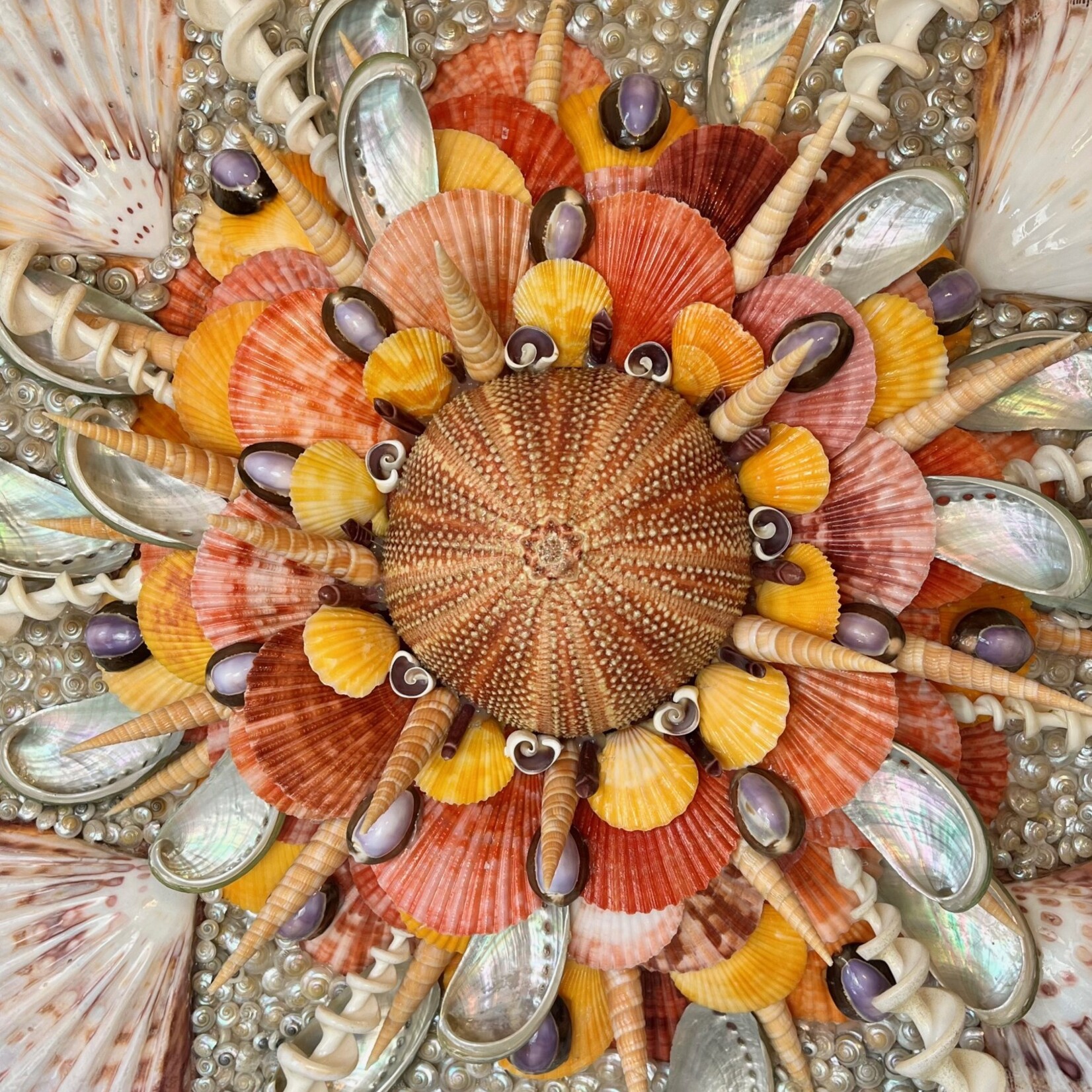 Jehan Valiente Ocean Bloom: Sea Urchin, 24.5x18", JEHAN