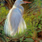 Michaelann Bellerjeau "Glowing Time of Day/Egret"  (Giclee of Veiled Wonder") on Canvas with UV protection, framed,16x20", MICB