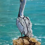 Susan Marinaccio Tranquil Watcher,  pelican, original oil on canvas, 24x30", SUSM