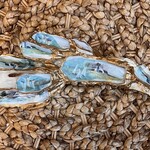 Pam Maschal SOUTHERN WILD OYSTER CLUSTER w/gold leaf & collage, PAMM