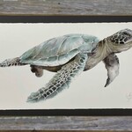 Molly Pearce LOGGERHEAD SEA TURTLE, Watercolor giclee, framed, 31x55", MOLP