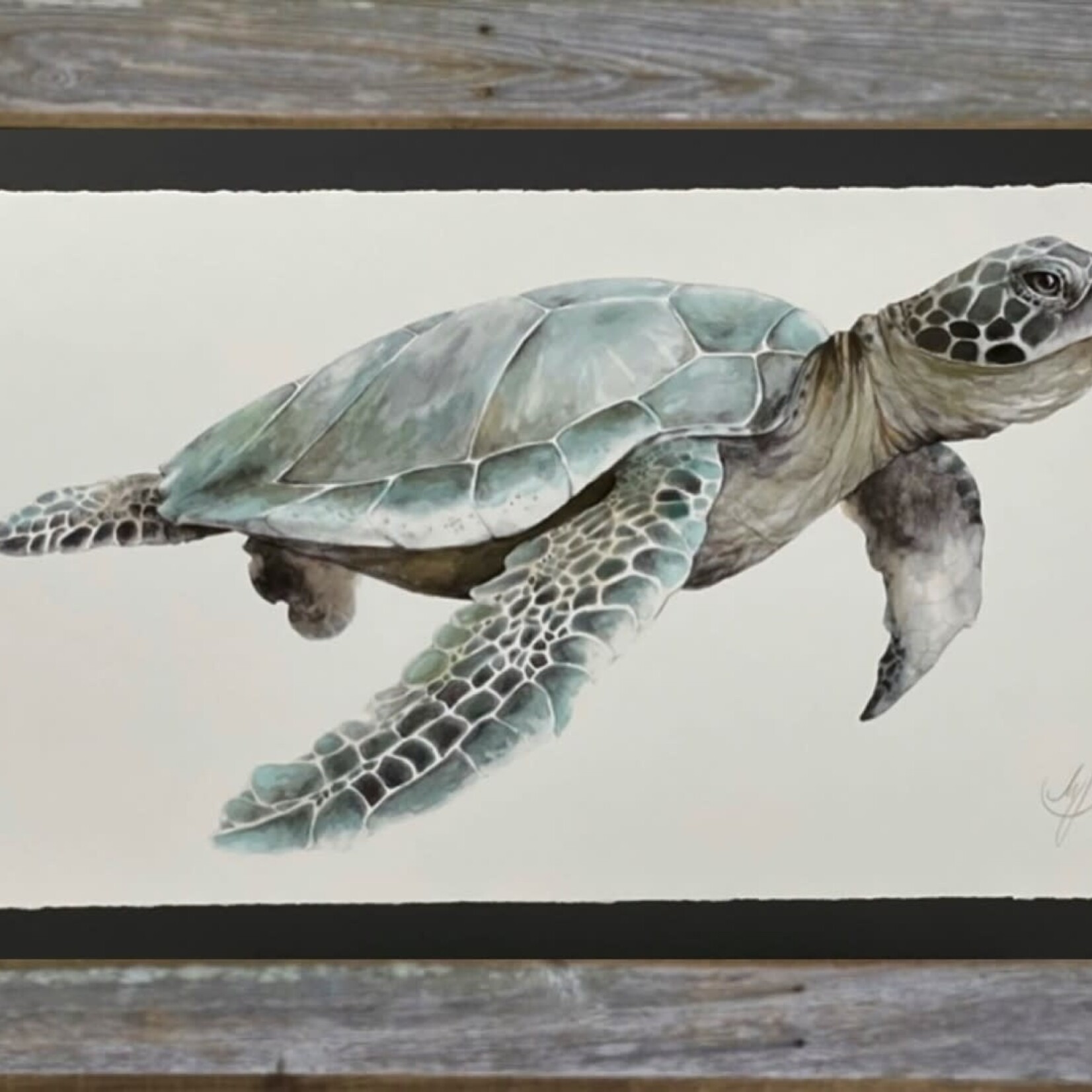 Molly Pearce LOGGERHEAD SEA TURTLE, Watercolor giclee, framed, 31x55", MOLP