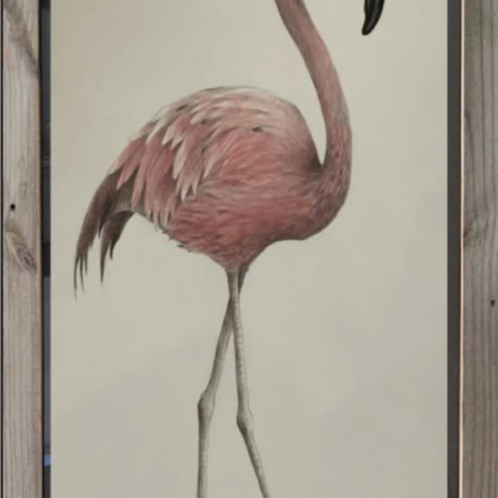 Molly Pearce FLAMINGO, Watercolor giclee, framed, 20x31", MOLP