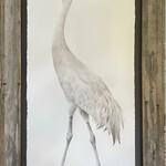 Molly Pearce SANDHILL CRANE, FEMALE, Watercolor giclee, framed, 20x31", MOLP