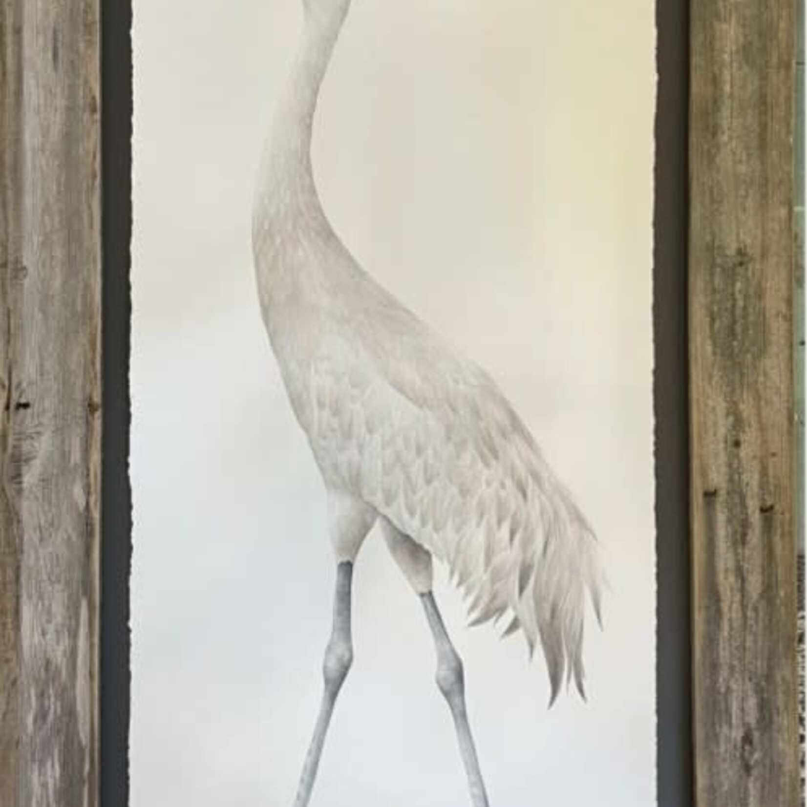 Molly Pearce SANDHILL CRANE, FEMALE, Watercolor giclee, framed, 20x31", MOLP