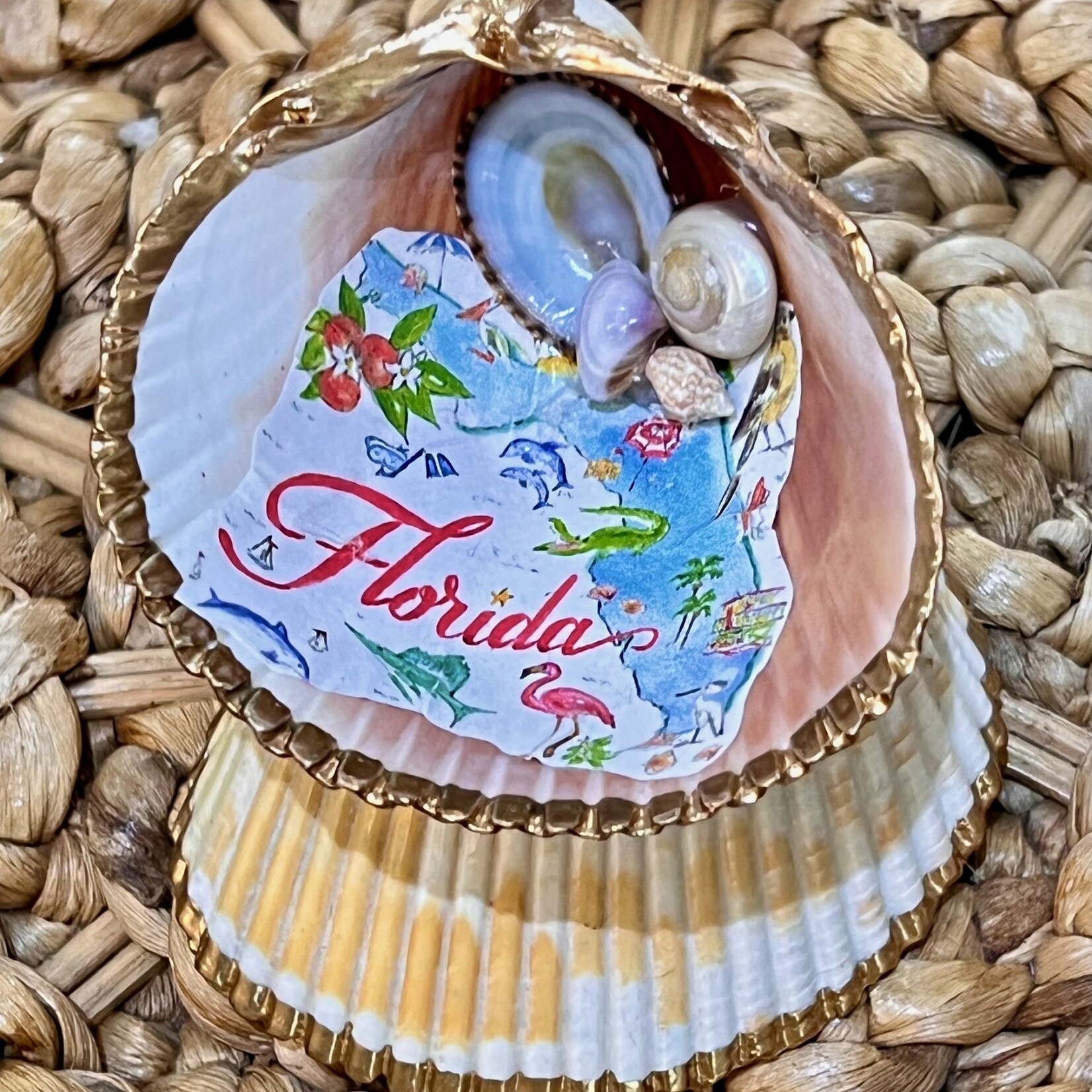 Pam Maschal Florida Cockle Shell Cups w/Florida shells collage, PAMM
