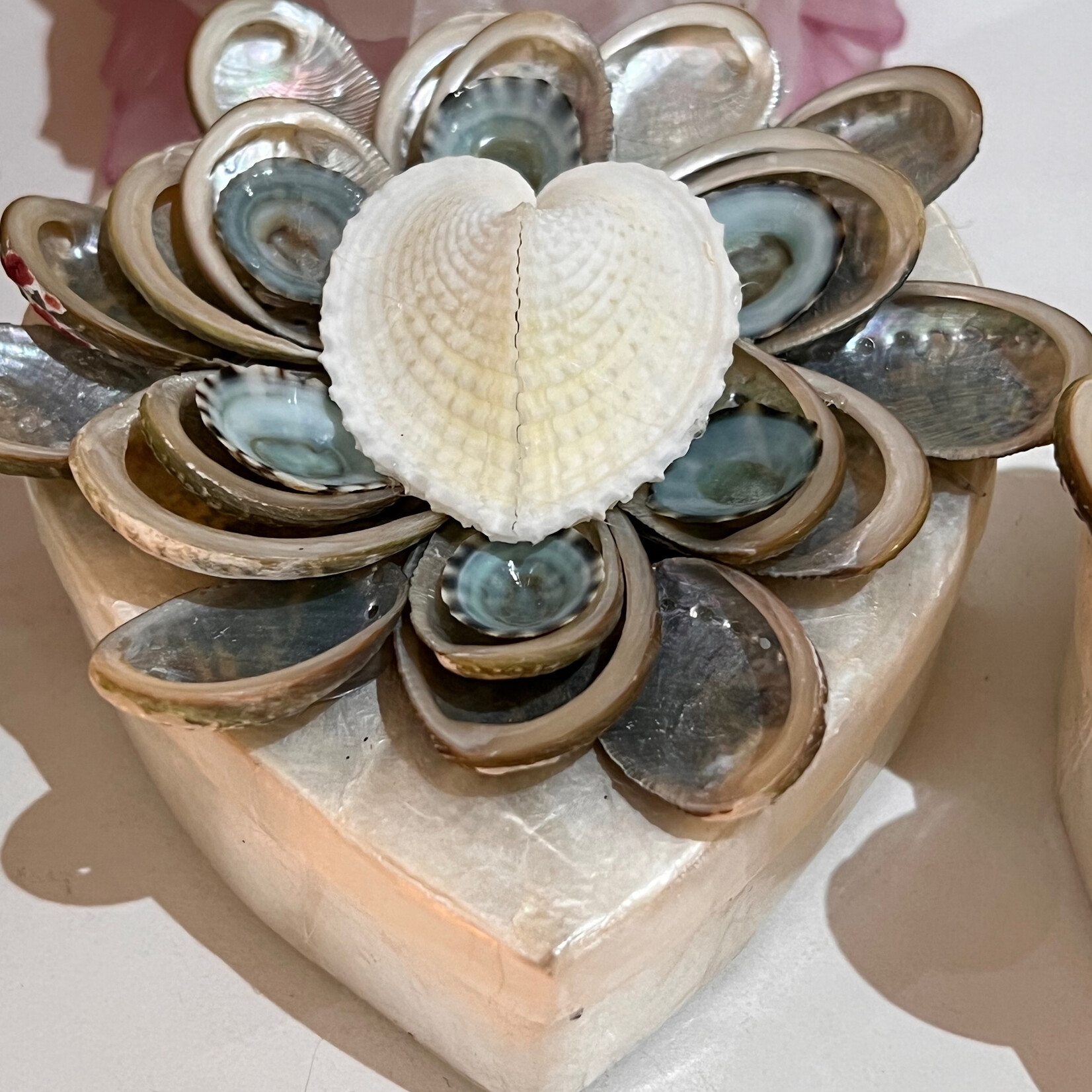 Bea Valiente Heart Shell Box w/limpets, BEAV