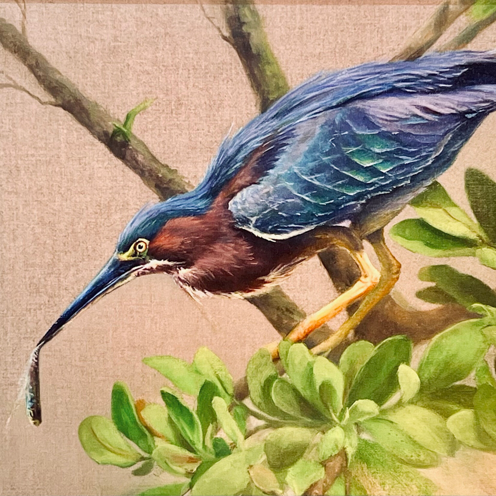 Michaelann Bellerjeau "Tri-colored Hunter", giclee, 20x16", framed,  MICB