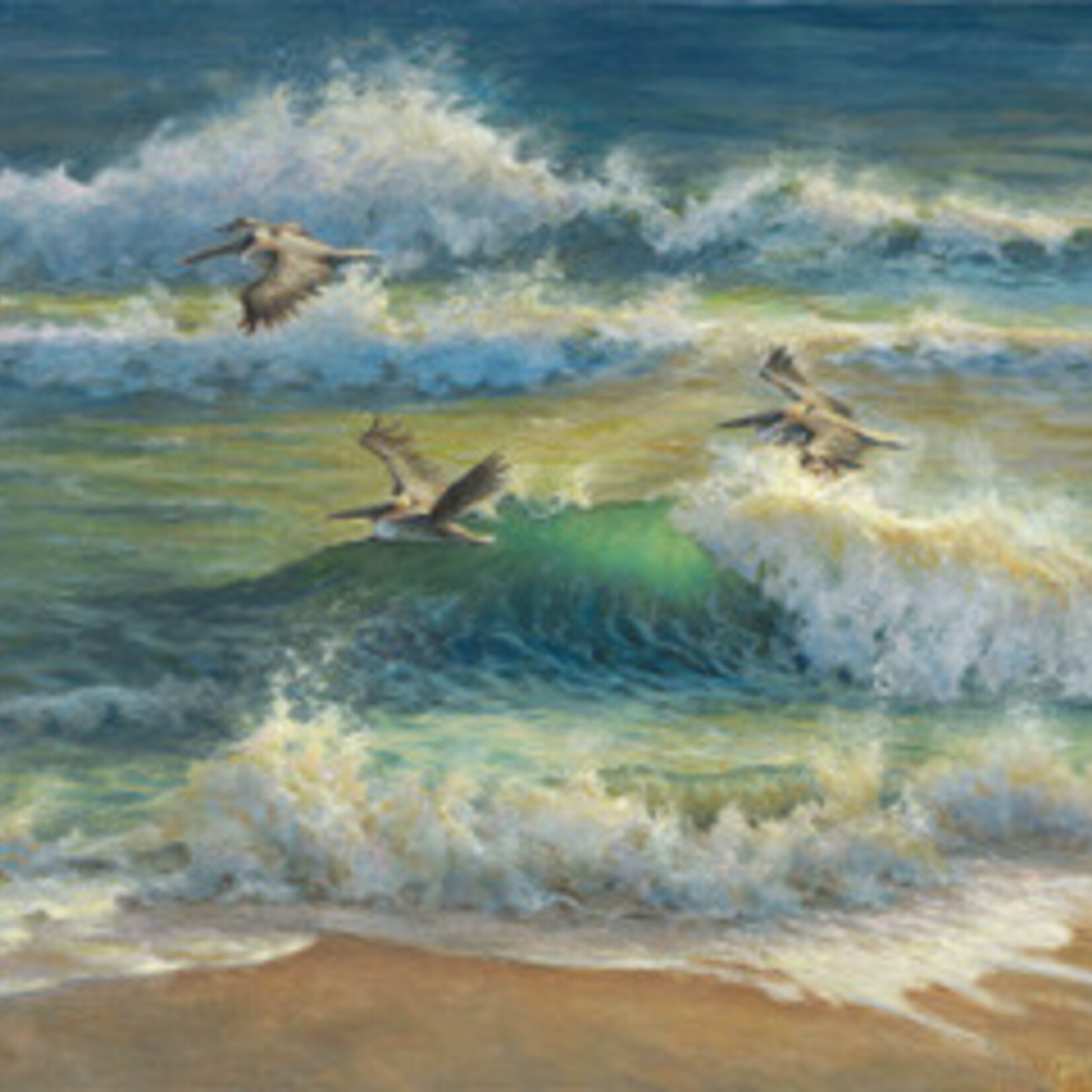Michaelann Bellerjeau "Compression Gliding: Brown Pelicans", giclee, framed, 16x20", MICB