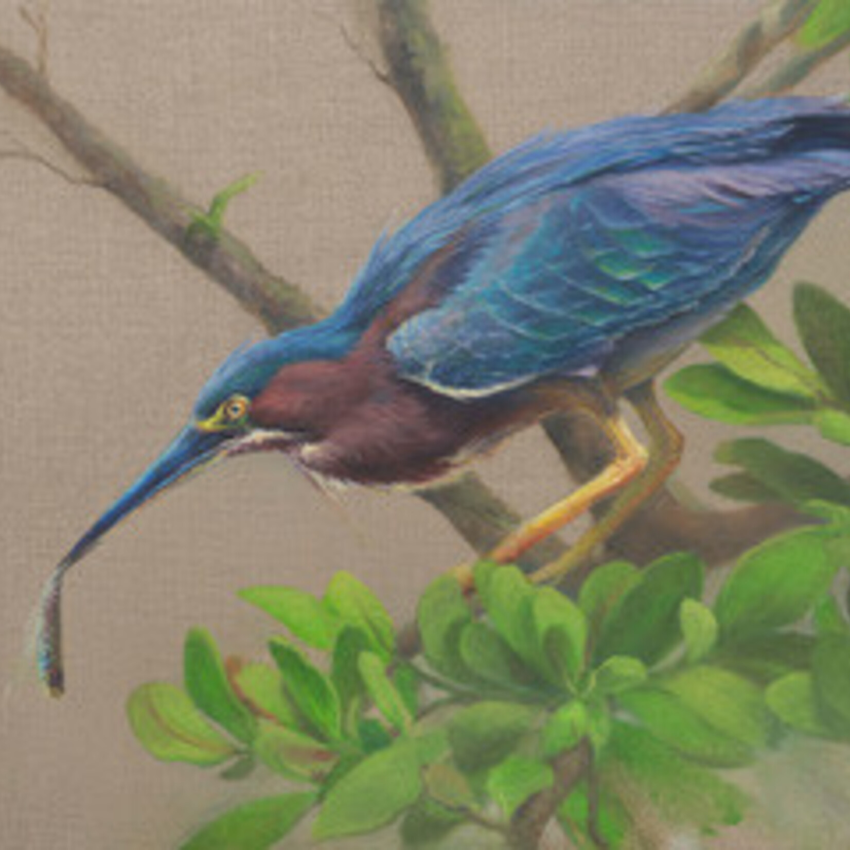 Michaelann Bellerjeau "Tri-colored Hunter", giclee, 20x16", framed,  MICB