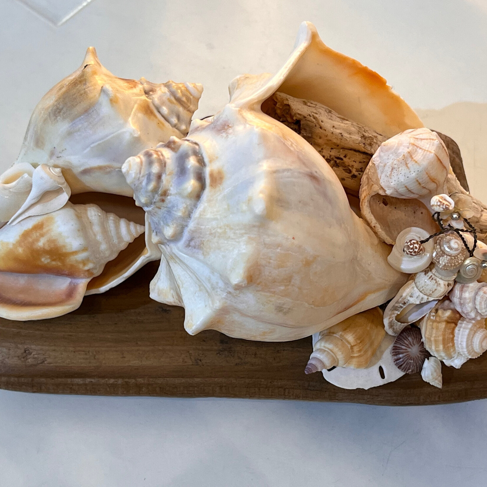 Pam Maschal Natural Shell Collage on Driftwood, 9x5x5", PAMM