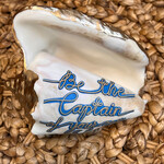 Pam Maschal Conch, "Captain of Your Own Ship", PAMM