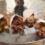 Allison Stowe-Castellano Tiny Turtle Hatchling, ceramic, ALLS