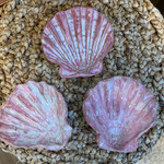 Allison Stowe-Castellano Shell Dish, @5", ALLS