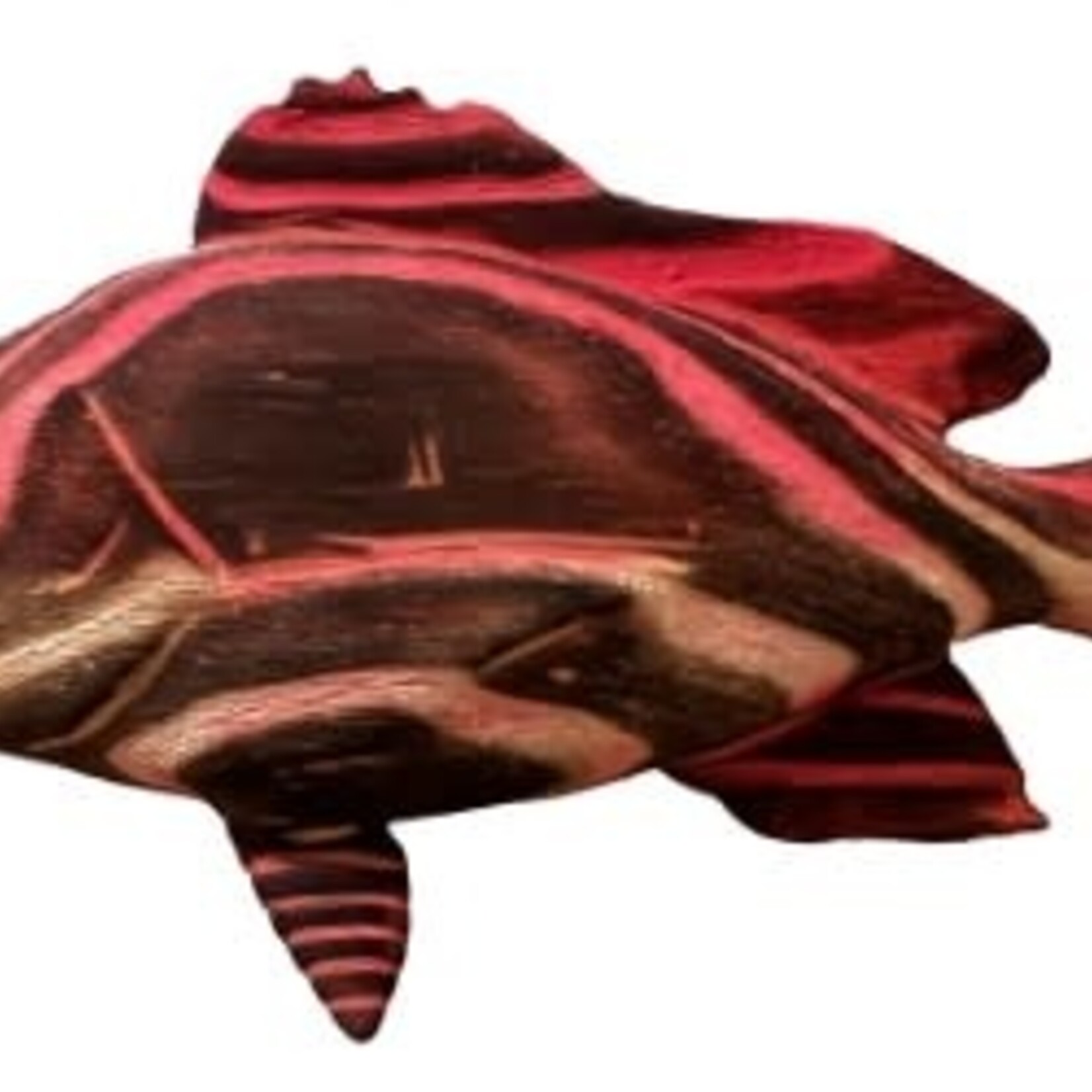Sea Grain Wood Sculpture Red Snapper, Wood, Shou-sugi-ban technique, 13"x7", MANN