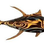 Sea Grain Wood Sculpture Yellow Fin Tuna,  Wood, Shou-sugi-ban technique, 28"x13", MANN