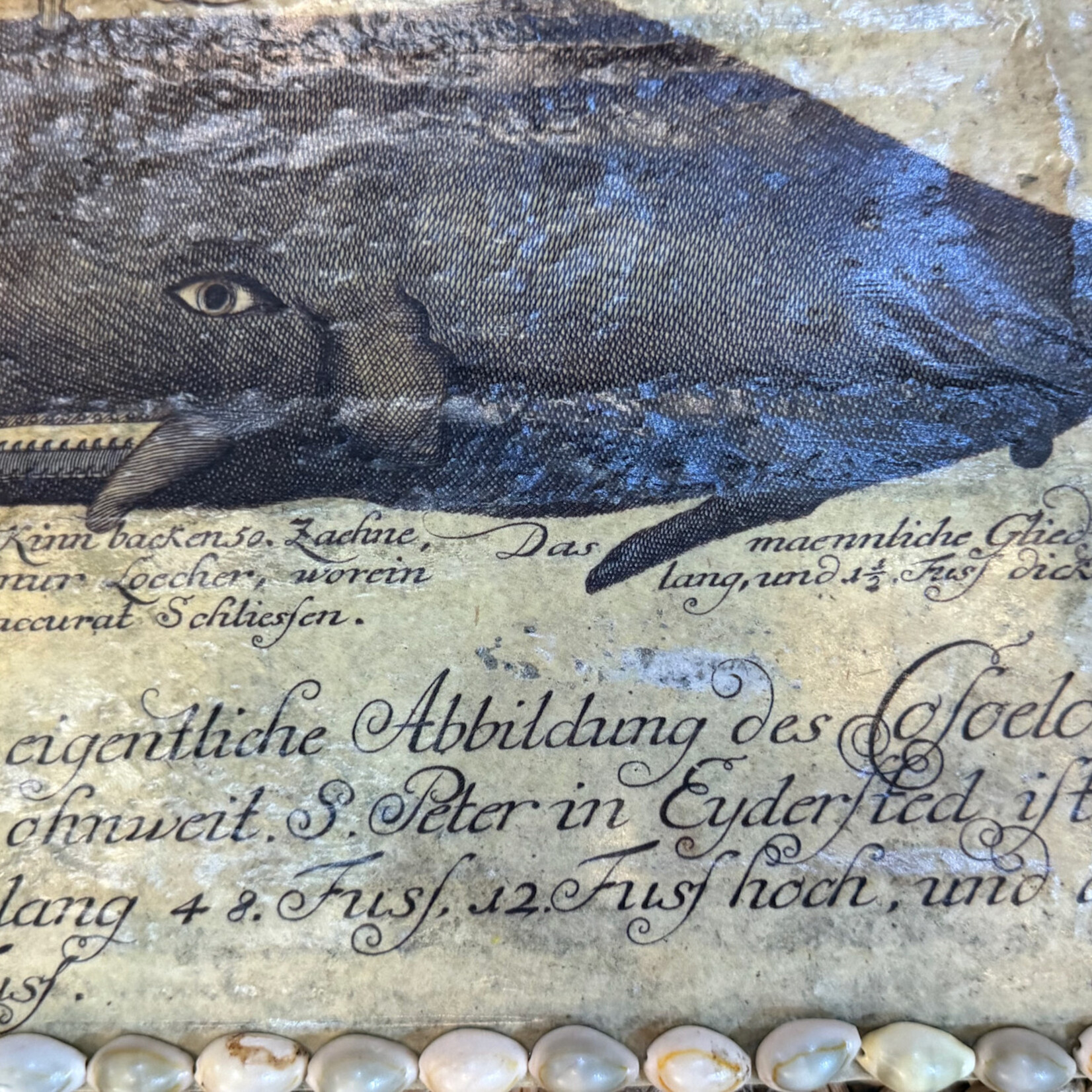 Pam Maschal Old Whale on Tin, collage, 14x9", PAMM