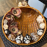 Pam Maschal Cornucopia of Shells in Vintage Basket, 12"d, PAMM