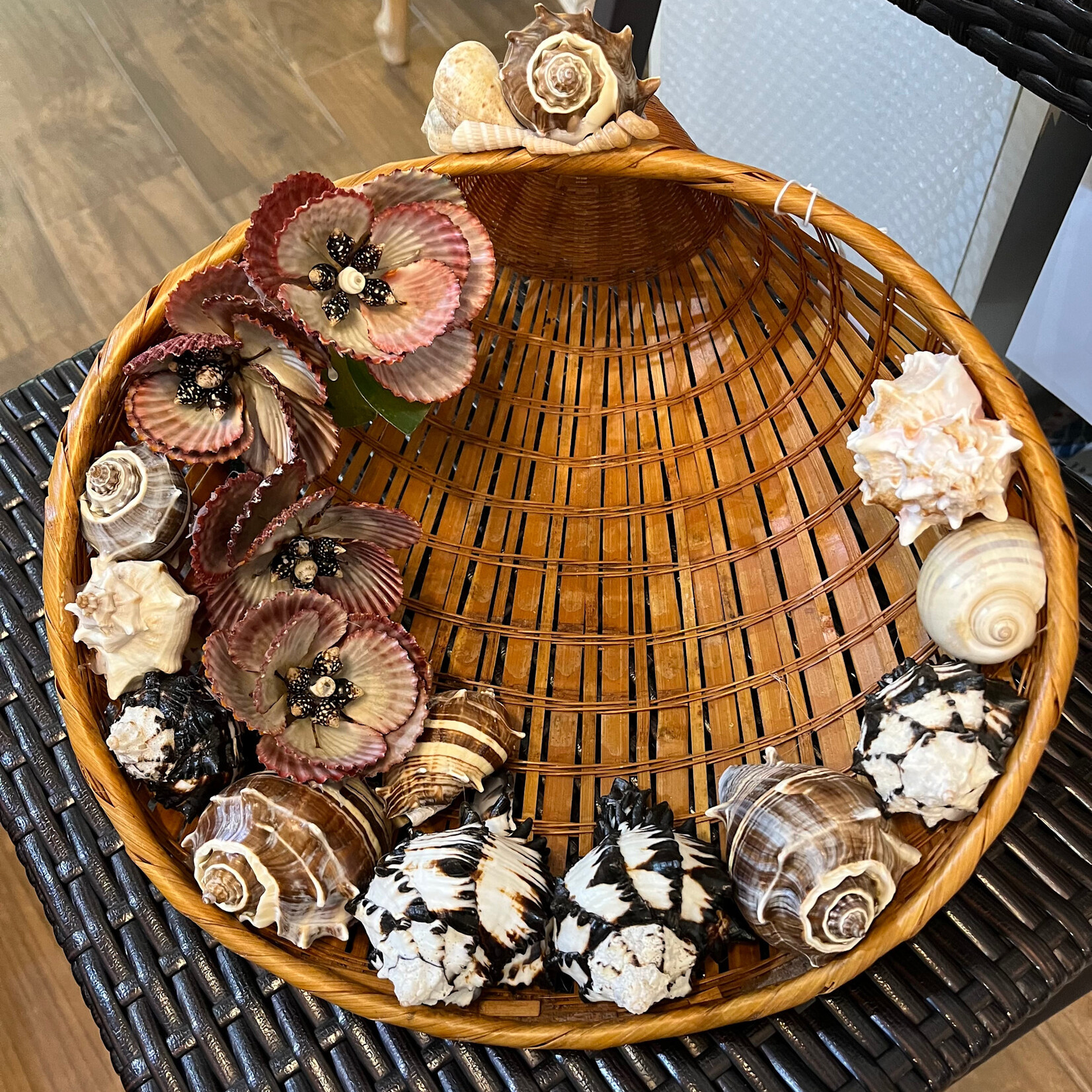 Pam Maschal Cornucopia of Shells in Vintage Basket, 12"d, PAMM