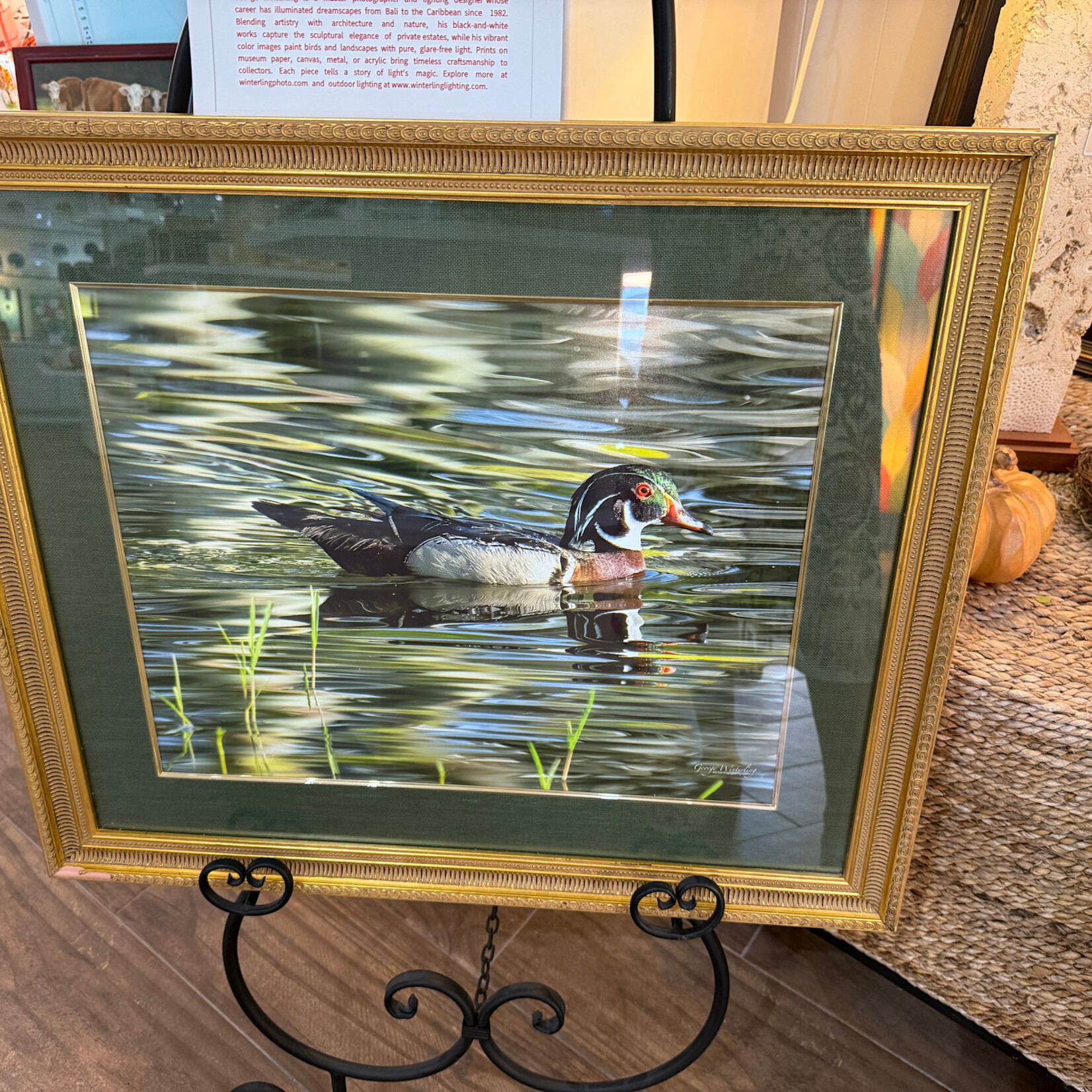 George Winterling Photography Wood Duck, Framed, 27x23",  GEOW