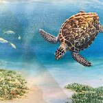 Susan Roberts Conch Cruiser (Giclee, Ltd. Ed, Gallery Wrap, 8x10, SUSR)