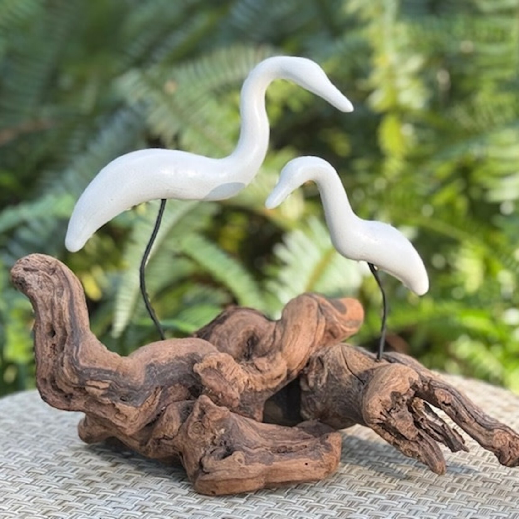 Molly Potter Thayer "Cattle Egrets", birds on driftwood, MOLT