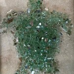 Sue by the Seashore Turtle, framed, 12x10", SUES