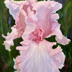 Susan Marinaccio "Diaphanous Bloom",  oil on  GW canvas, 24x30", SUSM