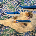 Dorothy  Fine Fish on shell, DORF