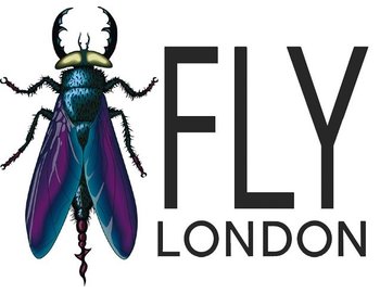 Fly London