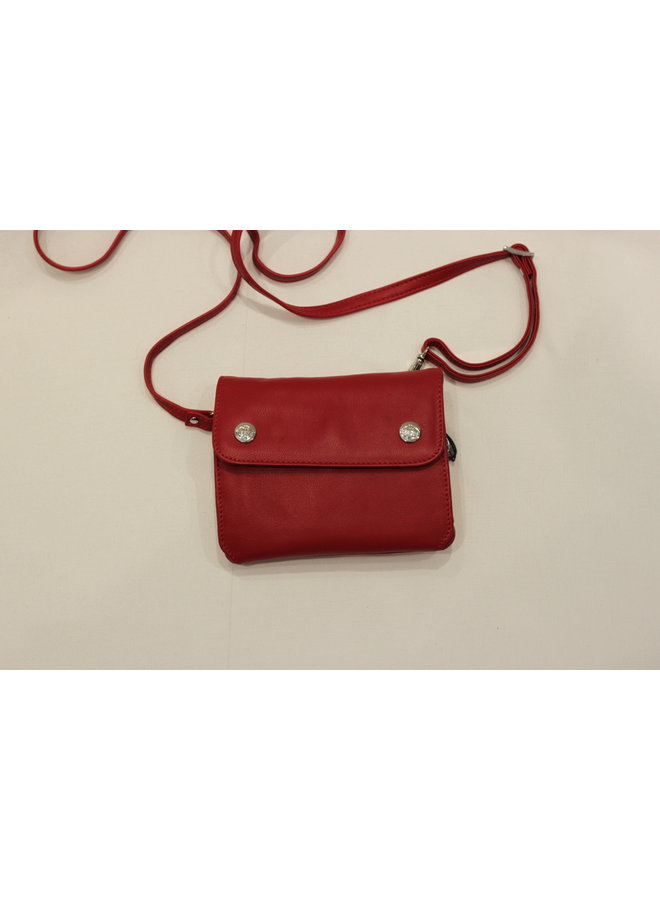 Small Flap Crossbody Handbag w/strap 585538