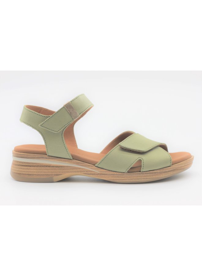 Dual strap 4-327